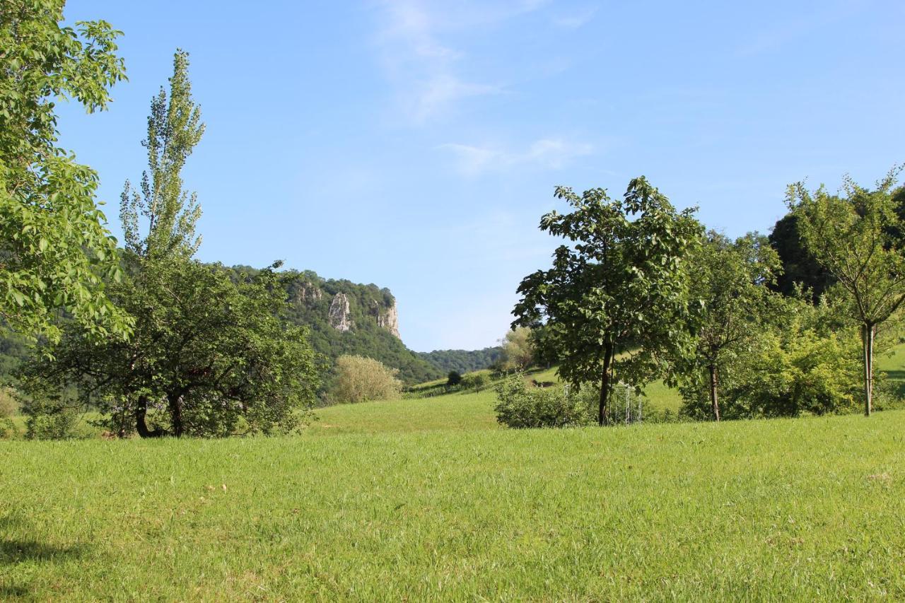 Domaine De Bellevue Du Mont Poupet Marnoz